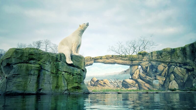 Im Zoo verschwimmen die Grenzen: Was ist echt, was Illusion? – Bild: BR/​NDR