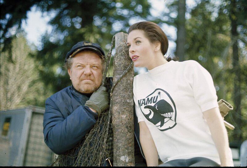 Namu, der Raubwal – Bild: 1966 Ivan Tors Enterprises, Inc. All Rights Reserved. Lizenzbild frei