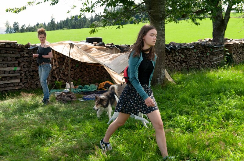 Tiere Bis Unters Dach S08e09 Heute Hier Morgen Dort Fernsehserien De