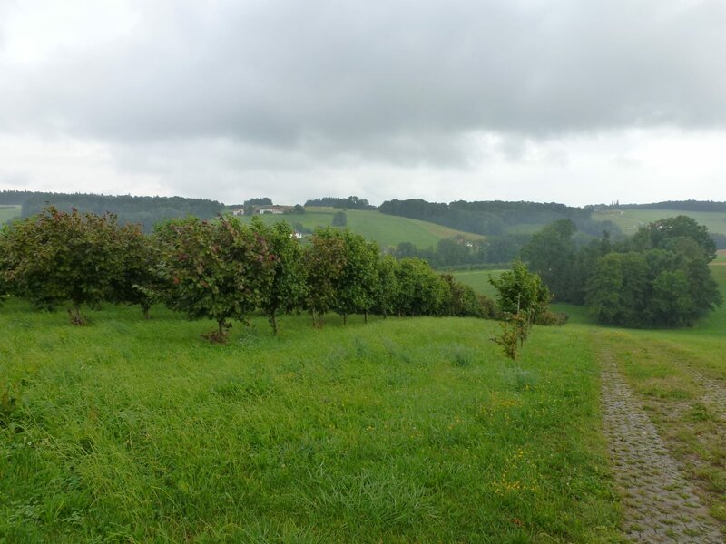 Rund um die Gatterberge – Bild: BR