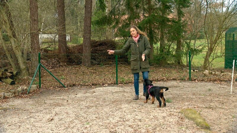 Julia Dittmers betreibt eine Hundeschule in der Nähe von Bremen. Ihre Kurse sind alle ausgebucht. – Bild: NDR/Video:arthouse/Jens Enno Born Julia Dittmers betreibt eine Hundeschule in der Nähe von Bremen. Ihre Kurse sind alle ausgebucht. – Bild: NDR/Video:arthouse/Jens Enno Born