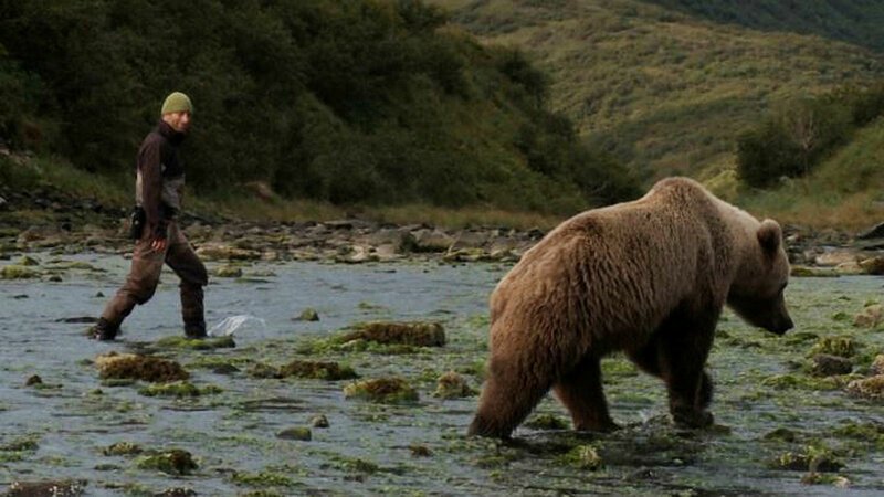 Der Bär In Mir – Fernsehserien.de