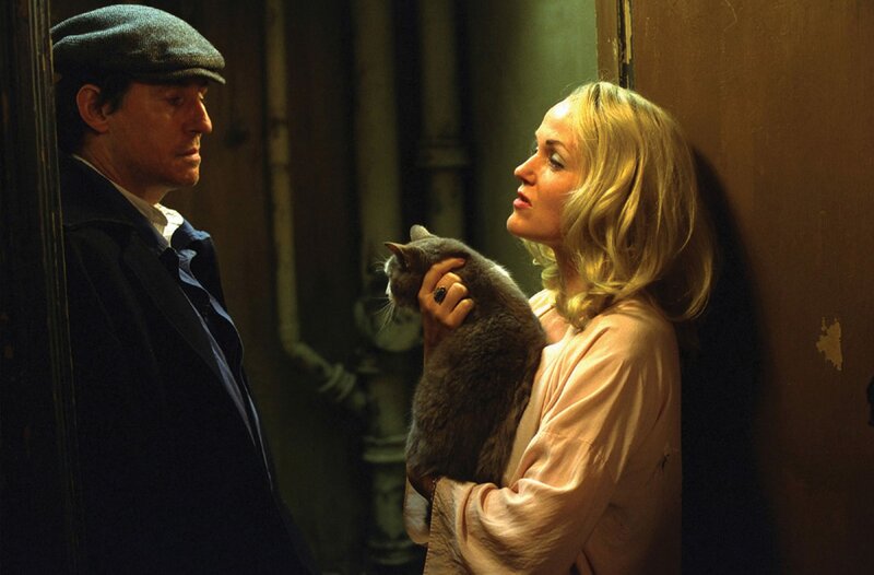 Spider – Bild: TV24