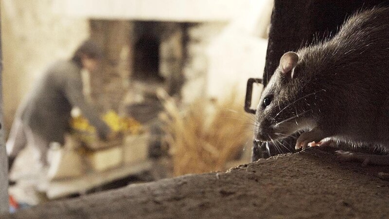 Das geheime Leben unserer Gärten – Bild: GEO Television