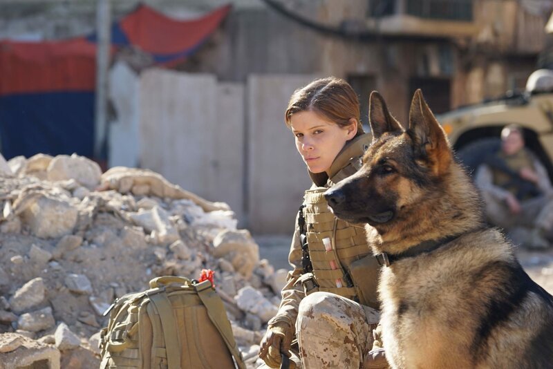 Megan Leavey (Kate Mara) trifft bei der Marine auf den aggressiven Spürhund Rex. Megan kann ihn zähmen, sie wird seine Hundeführerin und zu zweit bestehen sie Dutzende Missionen und retten Leben. Doch eine Bombe verändert alles. – Bild: Elite Film AG