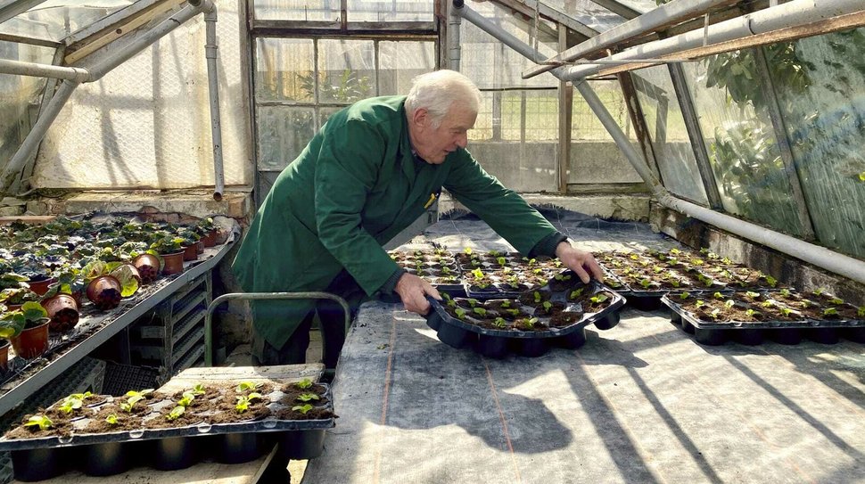 Sind Im Garten Das Grosse Buddeln Nach Der Winterpause Agrar Tvnews