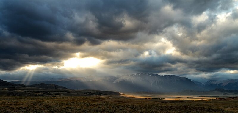 Im Windschatten der Anden liegt die trockene Seite Patagoniens, wer hier überleben will, muss besonders erfinderisch und robust sein … – Bild: Phoenix