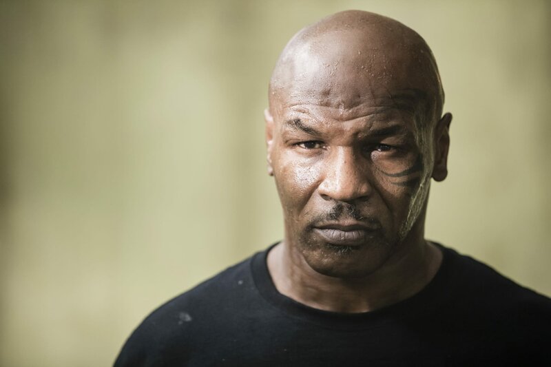 Kickboxer: Die Abrechnung – Bild: Elite Film AG