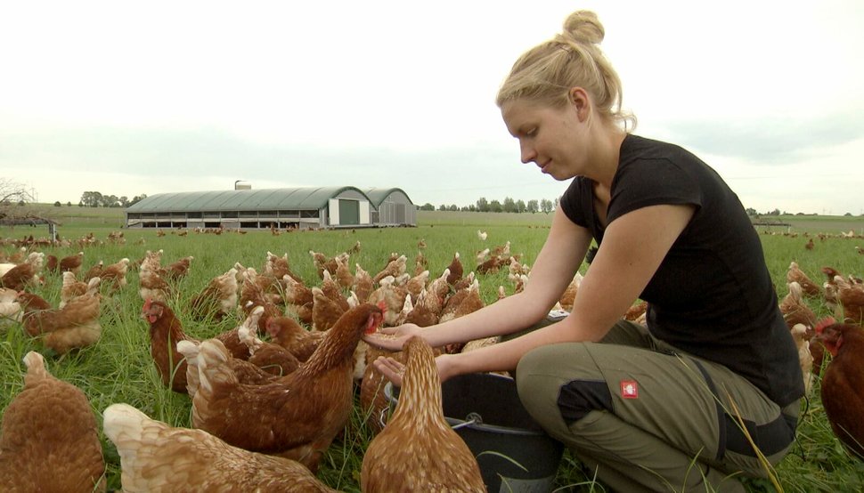 Anna Propp von der Bio-Hühnerfarm Selow: Ihren Mann kennt Anna schon aus der Schulzeit. Er studiert Landwirtschaft, sie wird Lehrerin in Hannover. Während seiner Ausbildung besucht sie ihn oft am Wochenende und bekommt Lust auf Landwirtschaft. Gemeinsam übernehmen sie den zu DDR-Zeiten enteigneten Hof des Großvaters in der Nähe von Bützow. – Bild: NDR