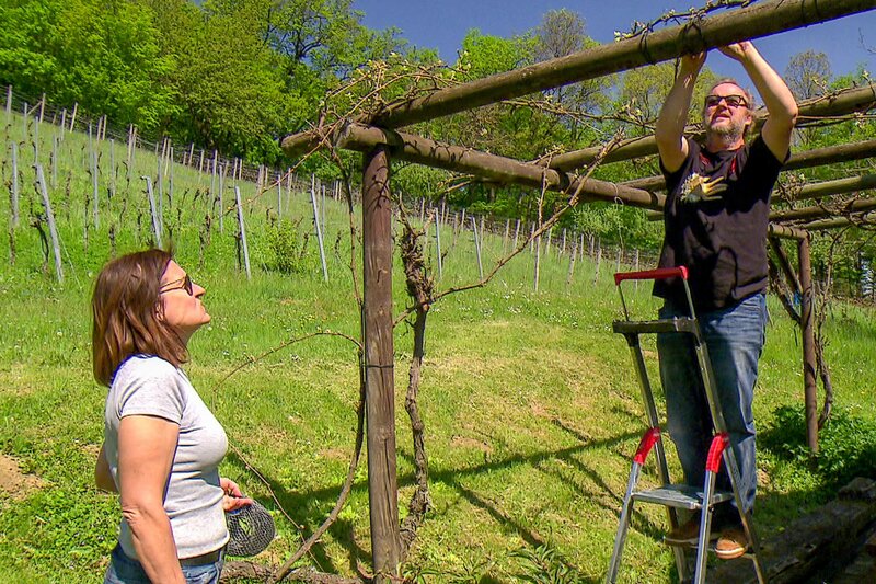 Leidenschaftliches Burgenland – Bild: ORF/​Marx Media