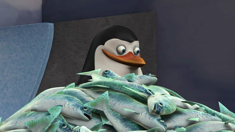 Die Pinguine aus Madagascar S01E02a: Internet Superstar (Tangled In The