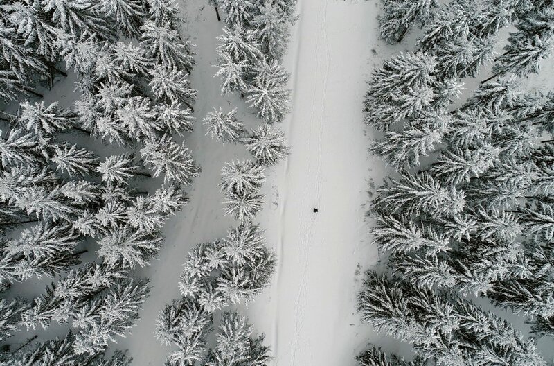 Der unsichtbare Puma – Bild: Samuel Ruffier/​Mona Lisa /​ Bruno Loisel unterwegs in den verschneiten Wäldern von Gévaudan