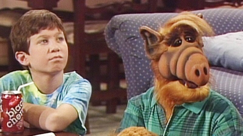 Alf Staffel 4 Folge 24