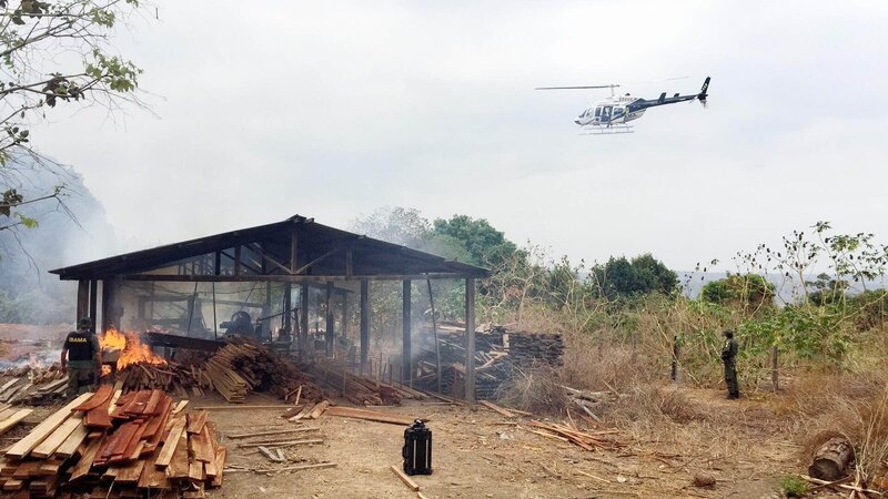Die brasilianische Umweltbehörde IBAMA geht mit konsequenter Härte gegen illegale Abholzung vor. Ein illegales Sägewerk wird von der Spezialeinheit niedergebrannt. – Bild: TVNOW /​ SPIEGEL TV
