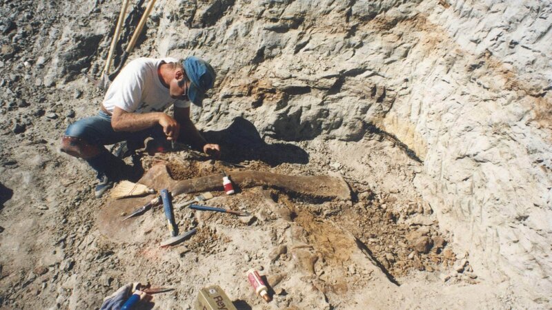 Dinosaurier 13 – Bild: Geo Television /​ ©2014 DINOSAUR 13