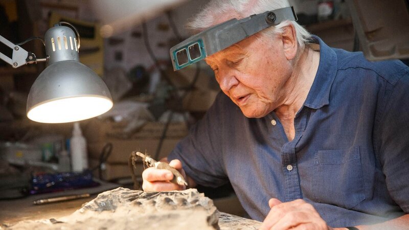 David Attenborough – Bild: Geo Television / © Robin Cox David Attenborough – Bild: Geo Television / © Robin Cox