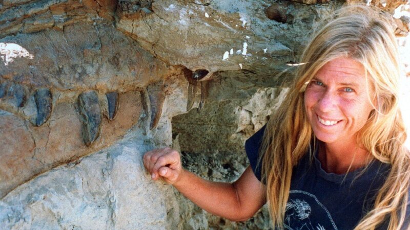 Susan Hendrickson – Bild: Geo Television /​ ©2014 DINOSAUR 13 Die Verwendung des Materials von RTL Deutschland ist nur zur redaktionellen Berichterstattung im Zusammenhang mit der Sendung unter Angabe der Credits/​Quellenangabe 