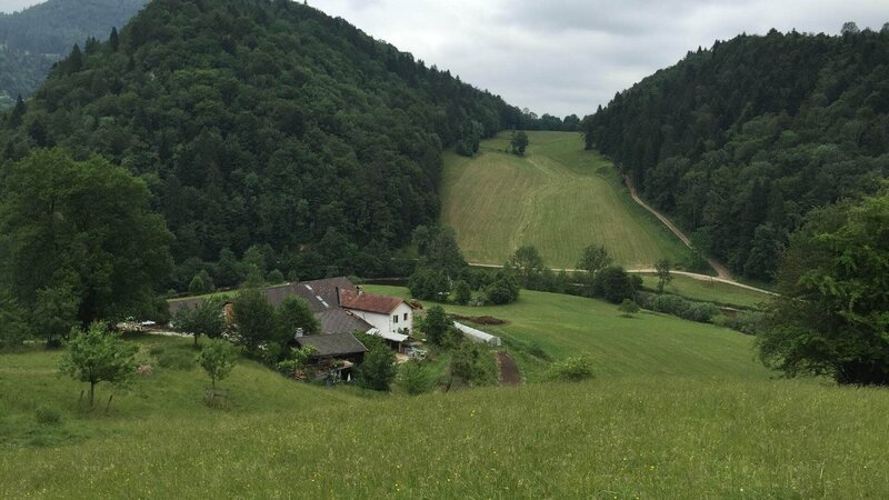 Die Farm in den Alpen. – Bild: Geo Television / MFP Die Farm in den Alpen. – Bild: Geo Television / MFP
