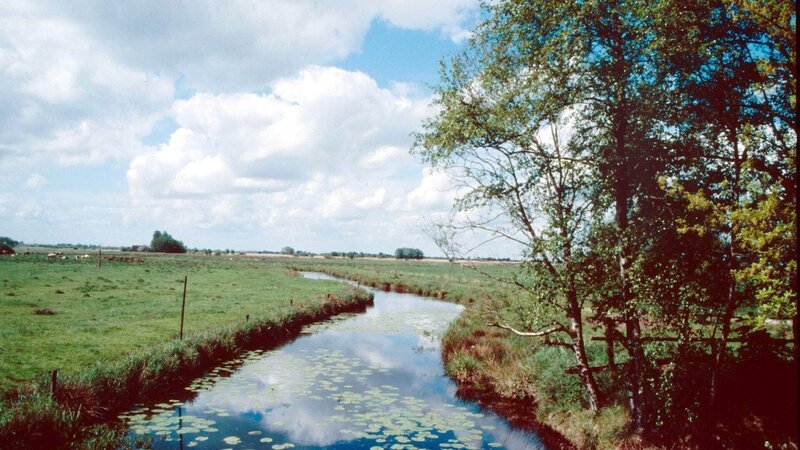 Grüne Weiden, ein Netz von Gräben, klare Seeluft und ein hoher Himmel, die weite, flache Marschlandschaft ist typisch für die Küste Ostfrieslands. – Bild: TVNOW / © Ernst Sasse Grüne Weiden, ein Netz von Gräben, klare Seeluft und ein hoher Himmel, die weite, flache Marschlandschaft ist typisch für die Küste Ostfrieslands. – Bild: TVNOW / © Ernst Sasse