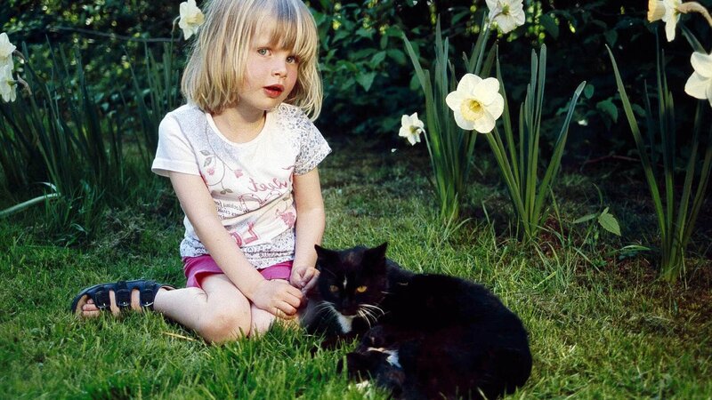 Ostfriesland - Sieben Inseln und ein Meer – Bild: RTL /​ © Ernst Sasse