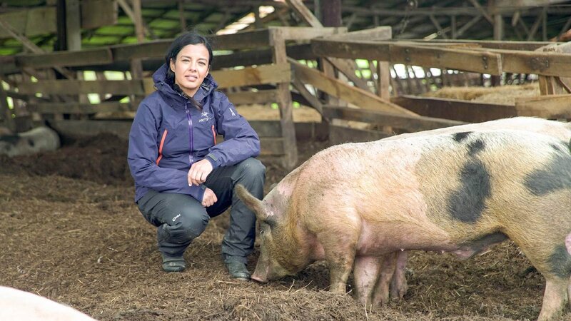 Fleisch - Gefahr für unseren Planeten? – Bild: RTL /​ © Raw & all3media international Die Verwendung des Materials von RTL Deutschland ist nur zur redaktionellen Berichterstattung im Zusammenhang mit der Sendung unter Angabe der Credits/​Quellenanga