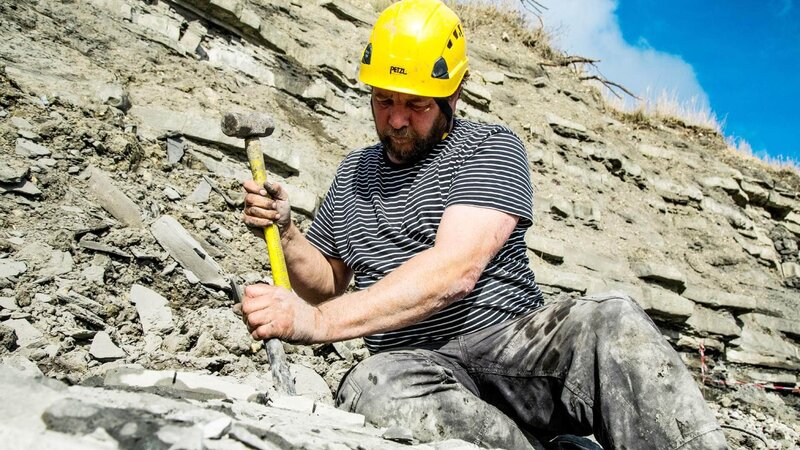 David Attenborough - Auf den Spuren des Seedrachen – Bild: RTL /​ BBC NHU Die Verwendung des Materials von RTL Deutschland ist nur zur redaktionellen Berichterstattung im Zusammenhang mit der Sendung unter Angabe der Credits/​Quellenangabe und Beachtung der unt