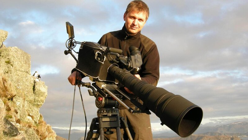 Seeadler - Der Vogel Phönix – Bild: RTL Die Verwendung des Materials von RTL Deutschland ist nur zur redaktionellen Berichterstattung im Zusammenhang mit der Sendung unter Angabe der Credits/​Quellenangabe und Beachtung der unter https:/​