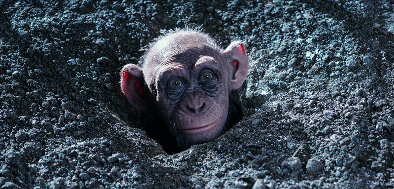 Planet der Affen: Survival – Bild: Puls 4