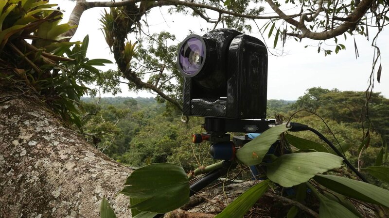 Undercover im Dschungel – Bild: RTL /​ Atlantic Productions Ltd