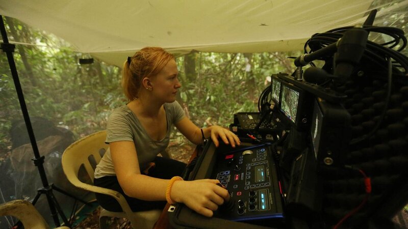 Undercover im Dschungel – Bild: RTL /​ Atlantic Productions Ltd
