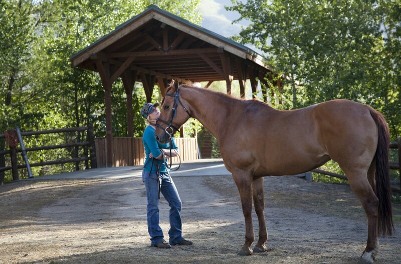 Storm Rider - Schnell wie der Wind – Bild: MDR/​Koch Media