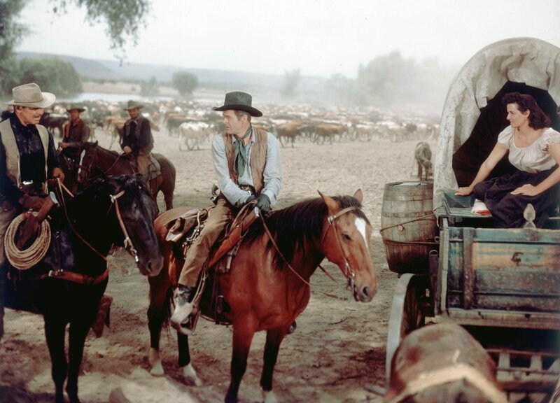 Drei Rivalen – Bild: SWR