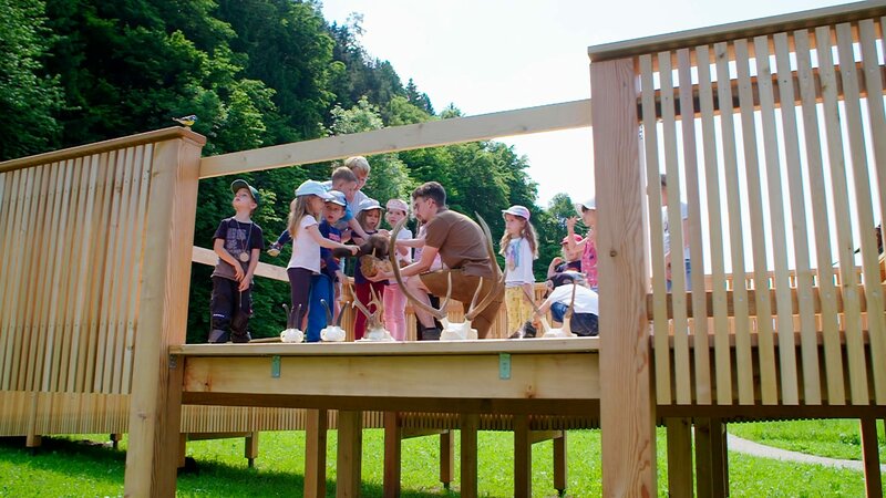 Das neue Tor ins Almenland – Bild: ORF/​Landesstudio Steiermark/​Visualize