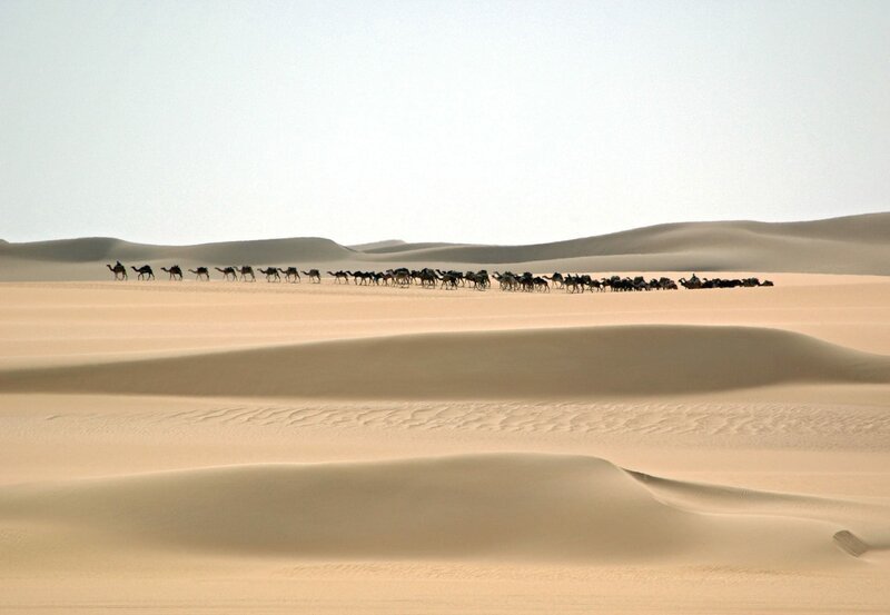 Salzkarawane auf dem Weg durch die Ténéré, die größte Trockenwüste der Erde. – Bild: BR/Filmquadrat/SWR/Ralph Wilhelm / Ralph Wilhelm Salzkarawane auf dem Weg durch die Ténéré, die größte Trockenwüste der Erde. – Bild: BR/Filmquadrat/SWR/Ralph Wilhelm / Ralph Wilhelm