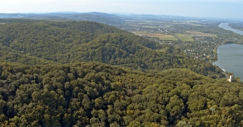 Naturschutzgebiet Wienerwald bei Greifenstein. – Bild: ORF/​IPFilm