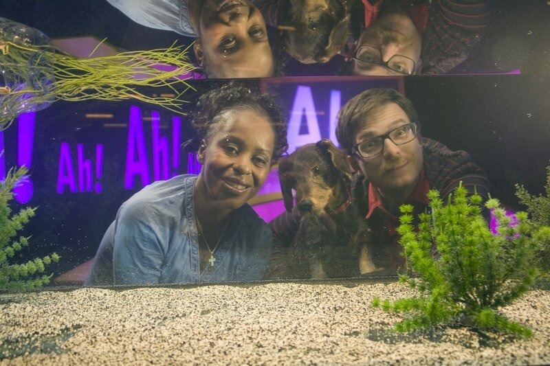 Wissen Macht Ah Staffel 12 Episodenguide Seite 2 Fernsehserien De