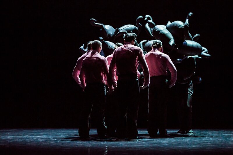 Swan Lakes - Gauthier Dance – Bild: ZDF und Jeanette Bak.