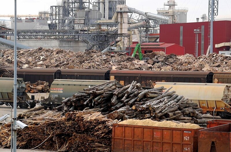 Rumänien: Eine der weltgrößten Holzfabriken. – Bild: Phoenix