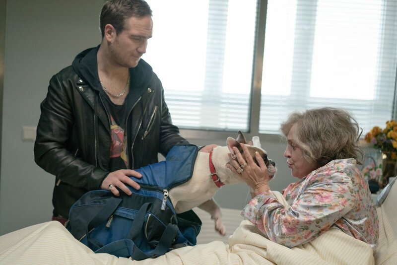 Wuff – Bild: DCM_OliverVaccaro Lizenzbild frei