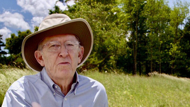 Mythos Wal – Bild: ZDF und SWR/​P. Moers.