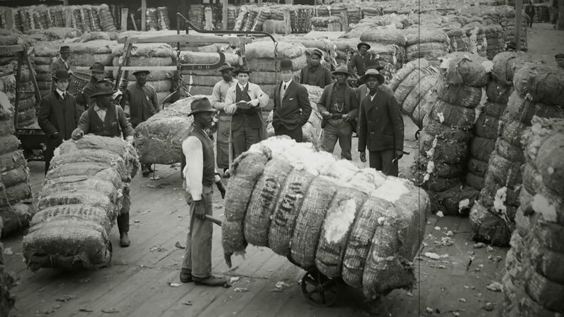 Baumwollfarm in Virginia, circa im Jahr 1905. – Bild: ZDF und Library of Congress./​Library of Congress