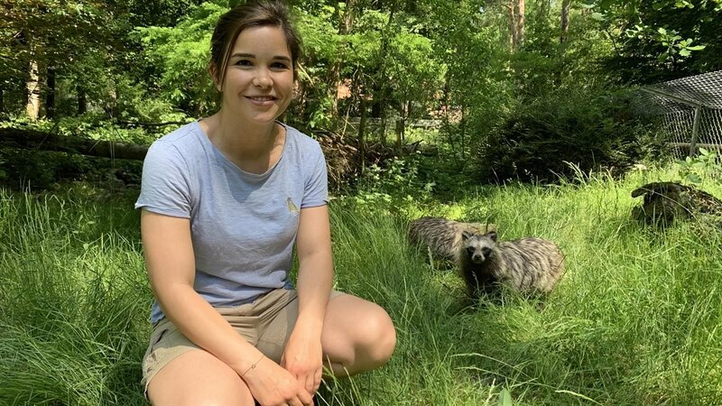 Anna Und Die Wilden Tiere Fuchs