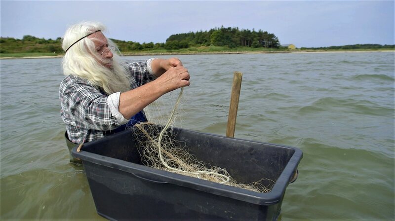 Manfred Schmidt, genannt „Bübchen“, ist auf Sylt bekannt wie ein bunter Hund. Statt auf Fisch in den Netzen zu hoffen, sammelt er jetzt japanischen Blasentang. Die Gastronomen der Insel haben schon angebissen. (Weitere Bilder auf Anfrage) – Bild: NDR/nonfictionplanet/Florian Melzer Manfred Schmidt, genannt „Bübchen“, ist auf Sylt bekannt wie ein bunter Hund. Statt auf Fisch in den Netzen zu hoffen, sammelt er jetzt japanischen Blasentang. Die Gastronomen der Insel haben schon angebissen. (Weitere Bilder auf Anfrage) – Bild: NDR/nonfictionplanet/Florian Melzer