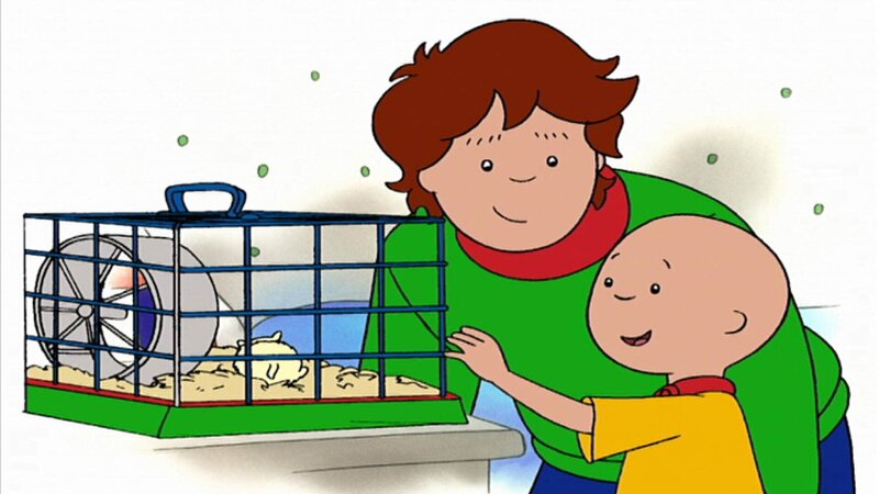 Caillou S01e27a Caillou Und Die Zahnfee Caillou And The Tooth Fairy Fernsehserien De