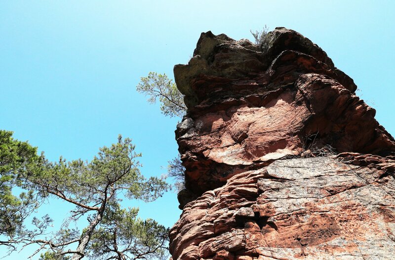 Expedition In Die Heimat 252 Im Land Der Roten Felsen Fernsehserien De