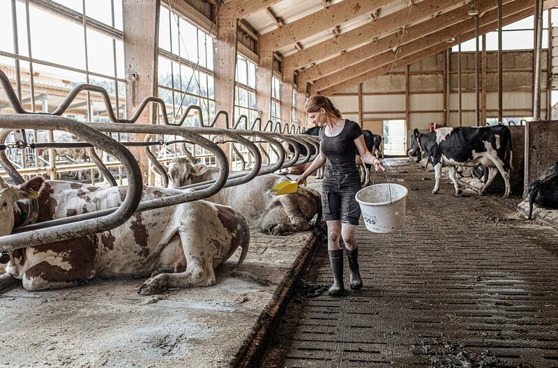 Chiara, Betriebshelferin des Maschinenrings Tettnang, bei der Stallarbeit. – Bild: SWR/Timo Jaworr Chiara, Betriebshelferin des Maschinenrings Tettnang, bei der Stallarbeit. – Bild: SWR/Timo Jaworr