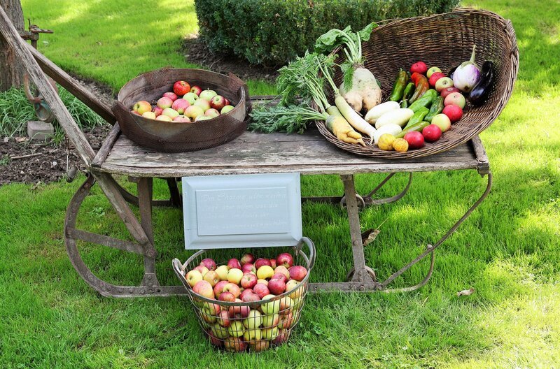 swr mein leckerer garten