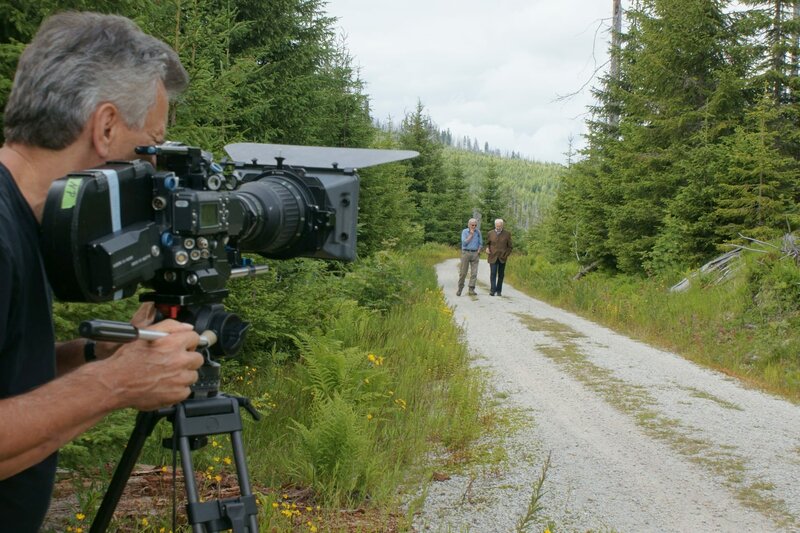 Der halbwilde Wald – Bild: BR/​Michael Mitschka