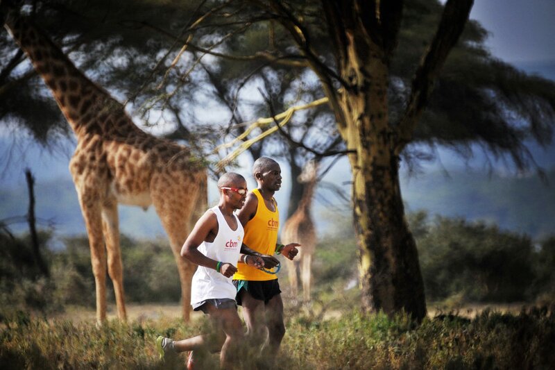 Gold - Du kannst mehr als du denkst – Bild: NDR/​Parapictures Film Production