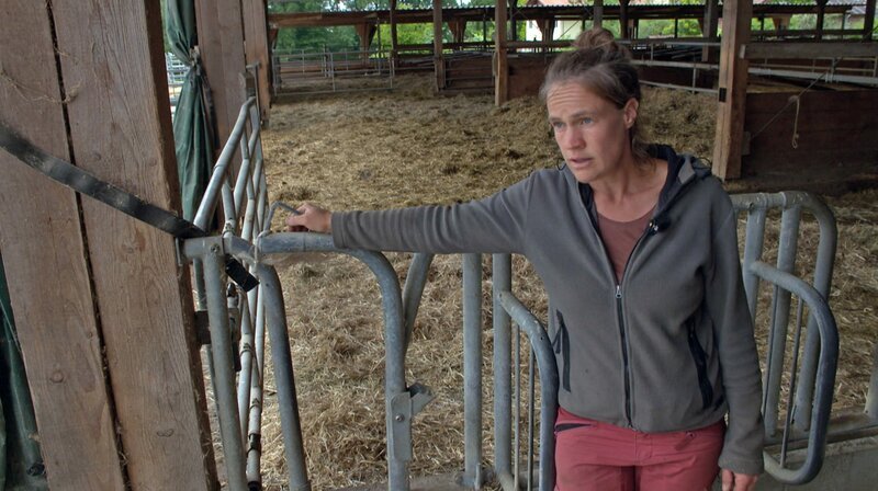 Mechthild Knösel aus Überlingen am Bodensee hätte gerne, dass innerhalb der EU die Weide- und Hoftötung erleichtert wird. – Bild: ZDF und SWR. Mechthild Knösel aus Überlingen am Bodensee hätte gerne, dass innerhalb der EU die Weide- und Hoftötung erleichtert wird. – Bild: ZDF und SWR.